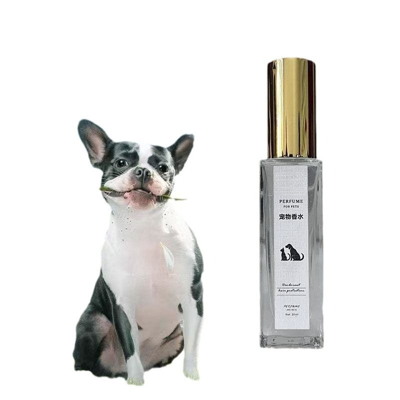 Pet Cologne Spray - Teddy Köpekler İçin Özel Evcil Hayvan