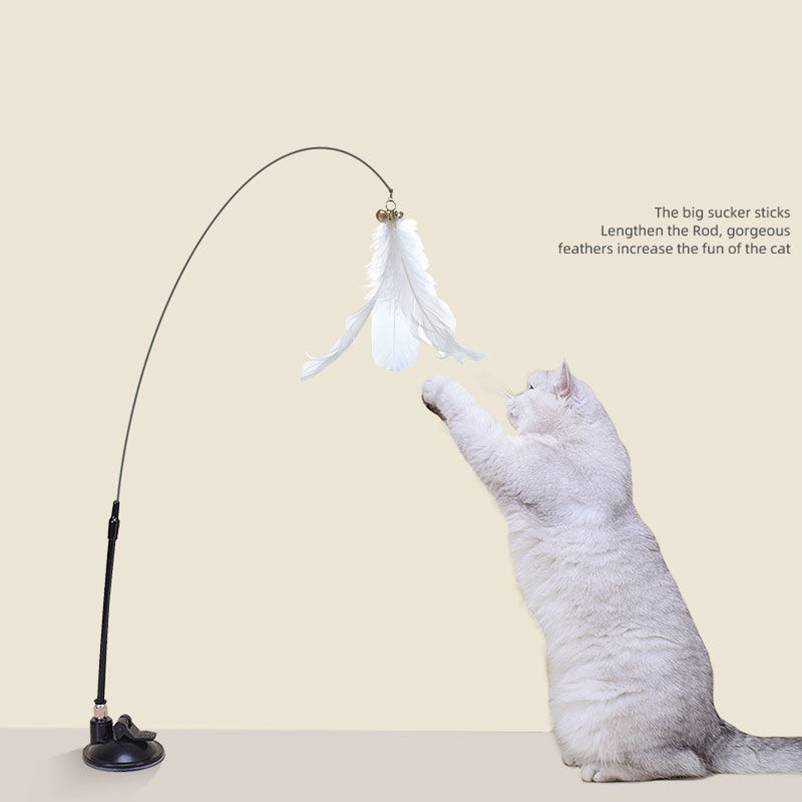 Pet Supplies Amazon - Yeni güçlü emişli, zilli kedi oyuncağı.