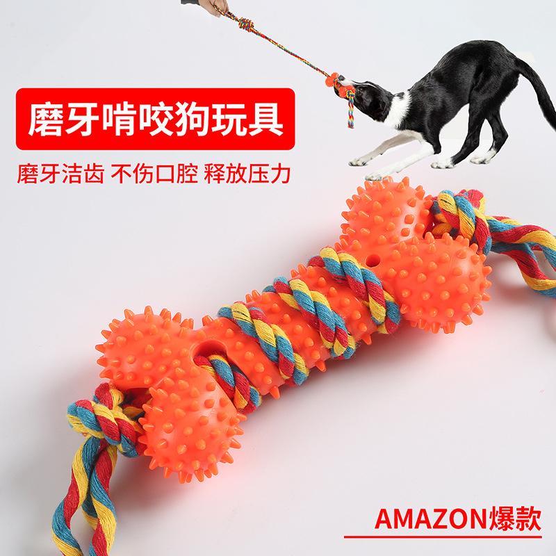 Pet Supplies Amazon - Amazon Sınır Ötesi Satışları İçin Yeni