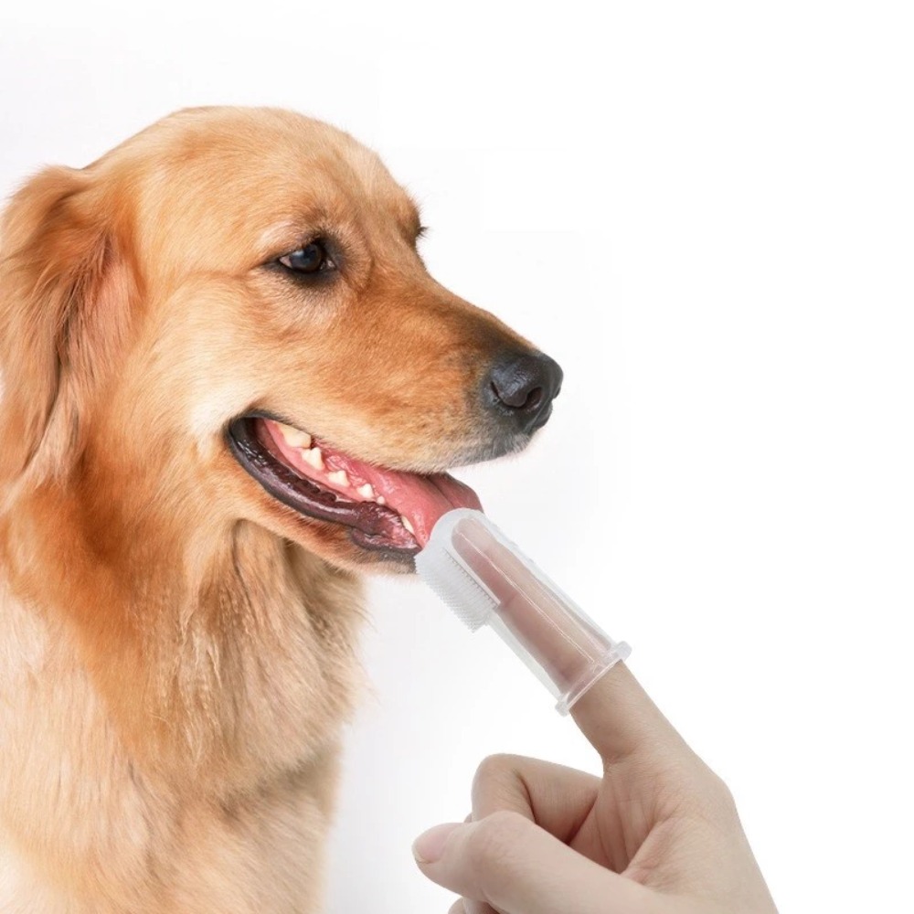 Pet Supplies Us - Süper Yumuşak Pet Parmak Diş Fırçası