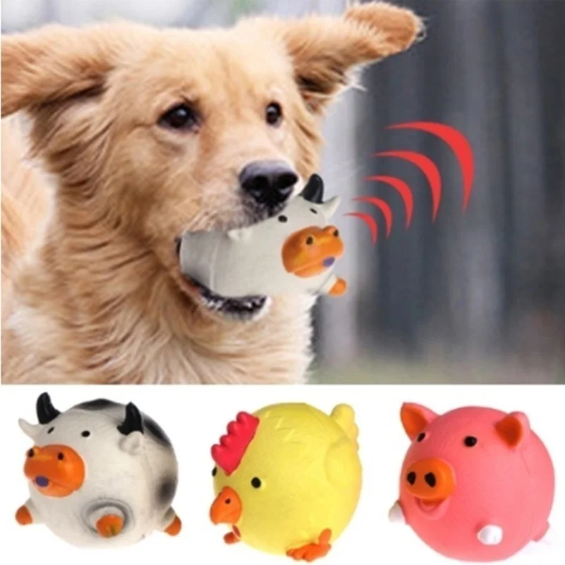Pet Supplies Amazon - Amazon'un En Çok Satanları Evcil Hayvan