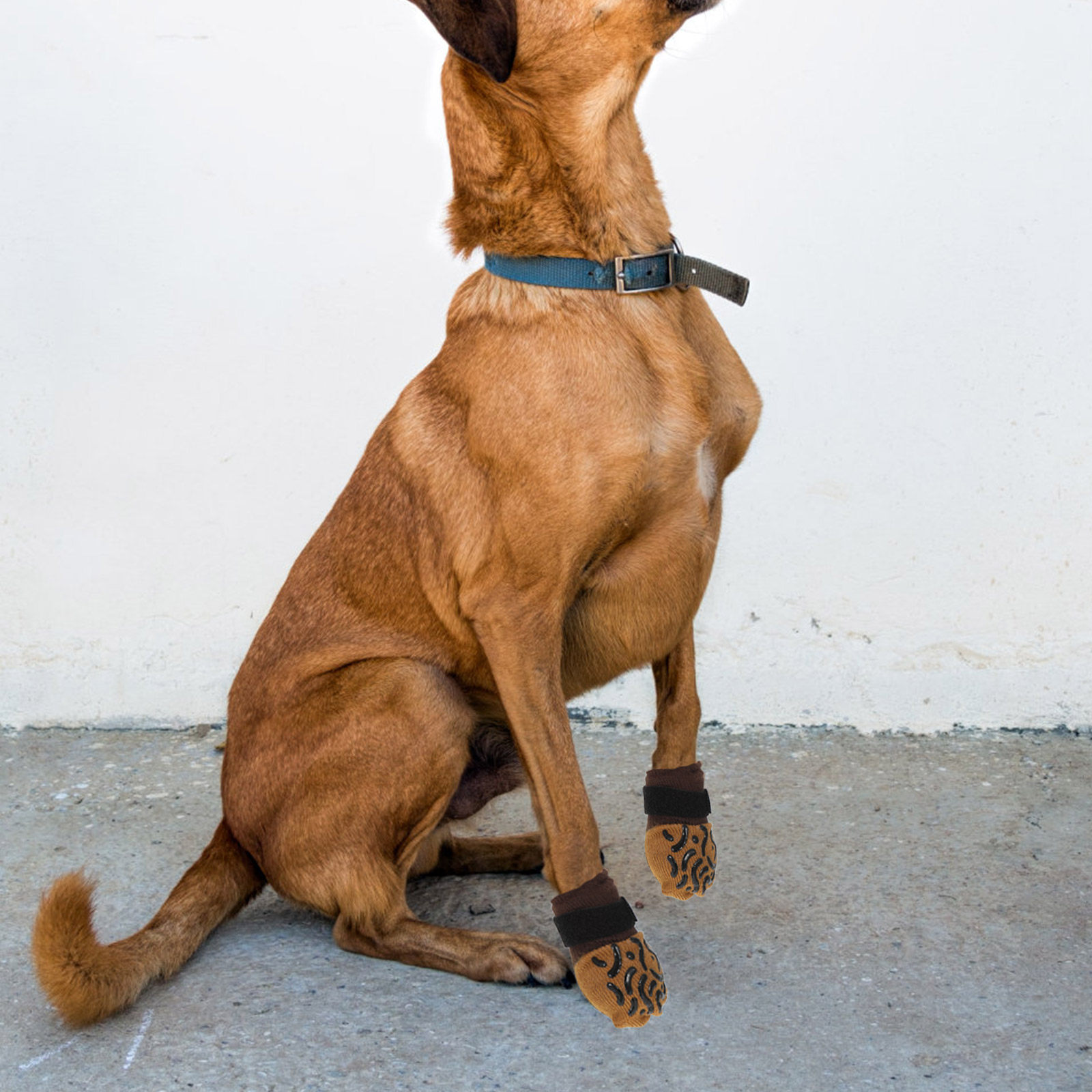 Dog Booties Paw Protector - 4 adet köpek çorapları kaymaz pençe