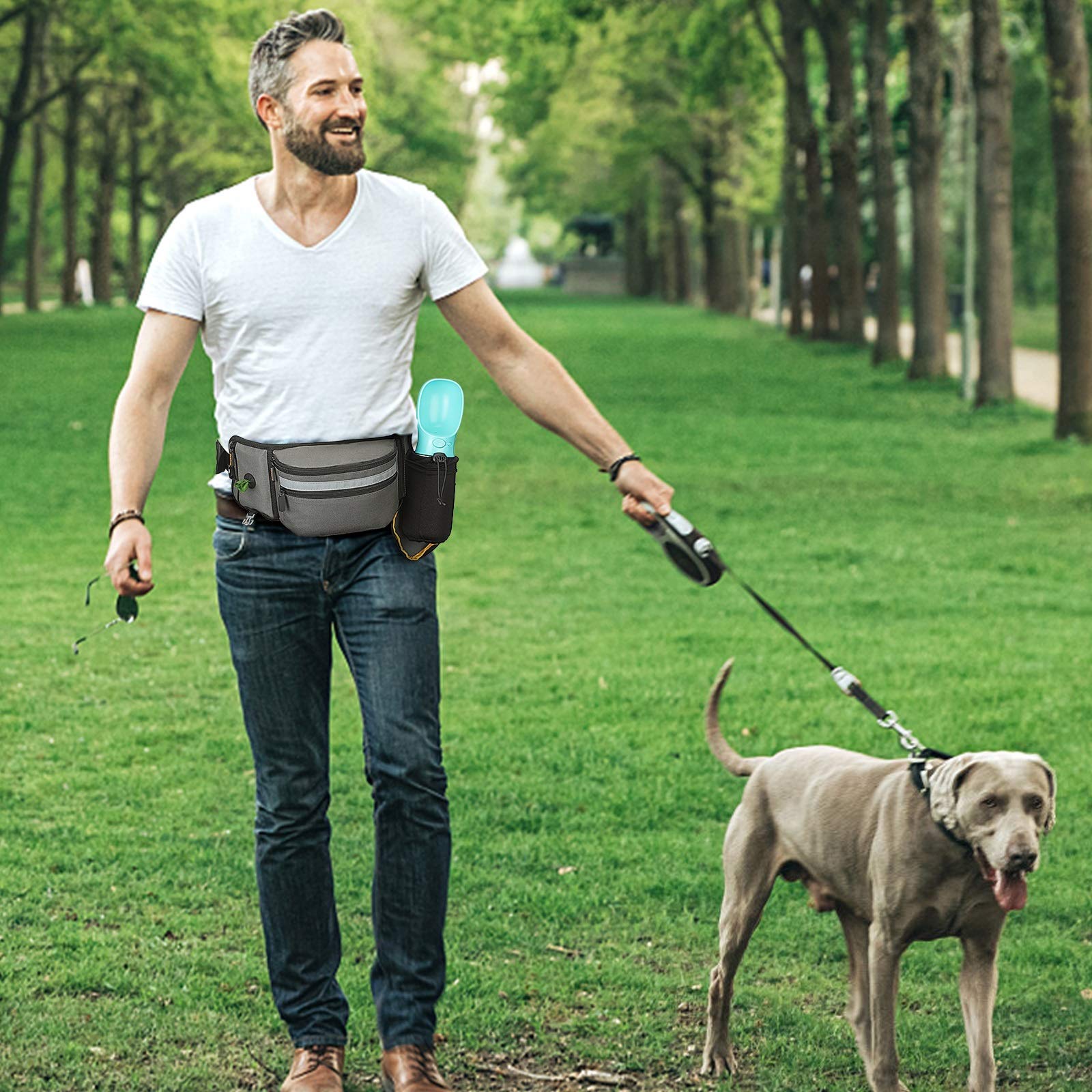 Köpek Tedavi Kese Eğitim için  - Pet Supplies Rewards incelemesi ve fiyatı