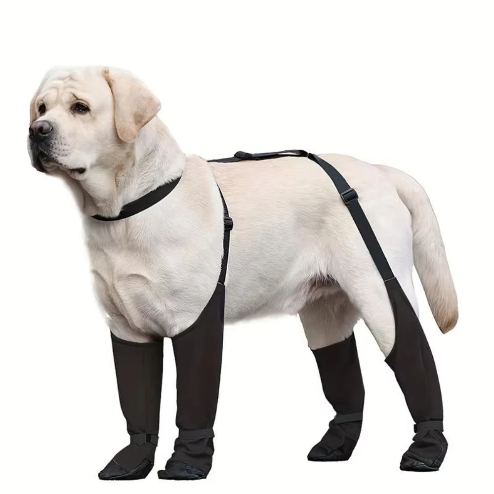 Düşmeye Karşı Su Geçirmez Köpe - Dog Booties Paw Protector incelemesi ve fiyatı