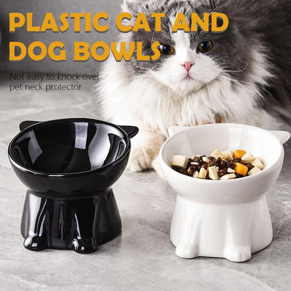 Siyah Kedi Kasesi Amazon Plast - Pet Supplies Amazon incelemesi ve fiyatı