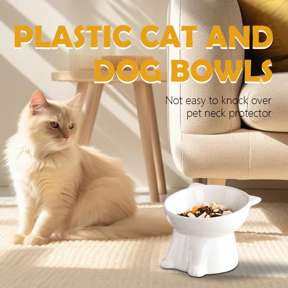 Siyah Kedi Kasesi Amazon Plast - Pet Supplies Amazon incelemesi ve fiyatı
