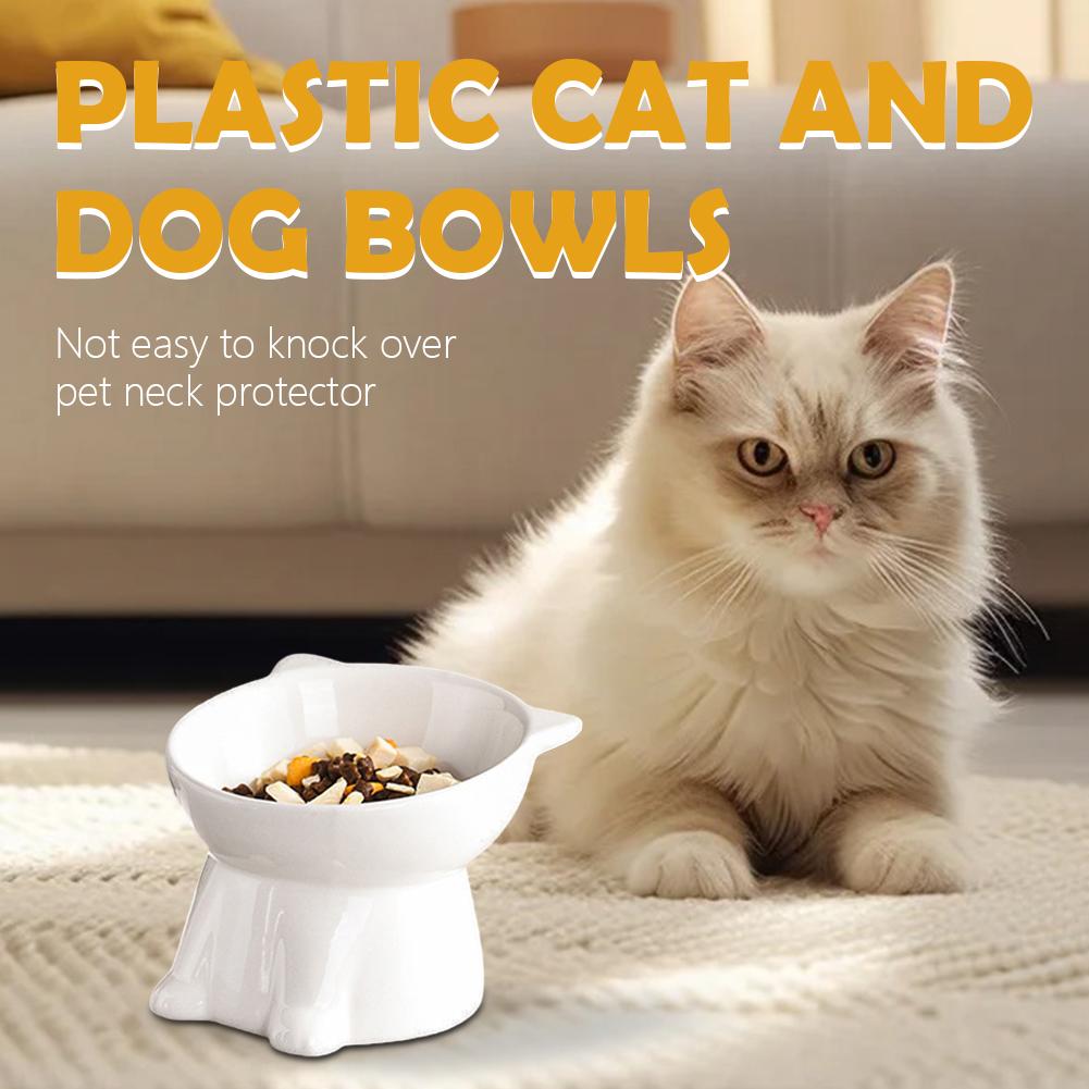 Siyah Kedi Kasesi Amazon Plast - Pet Supplies Amazon incelemesi ve fiyatı