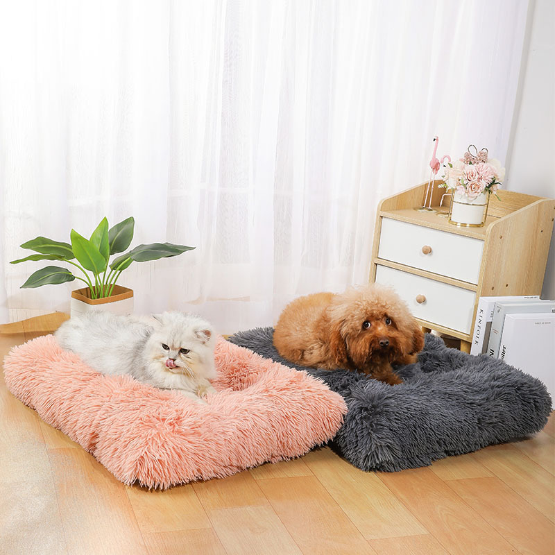 Amazon'da bulunan yeni köpek u - Pet Supplies Amazon incelemesi ve fiyatı