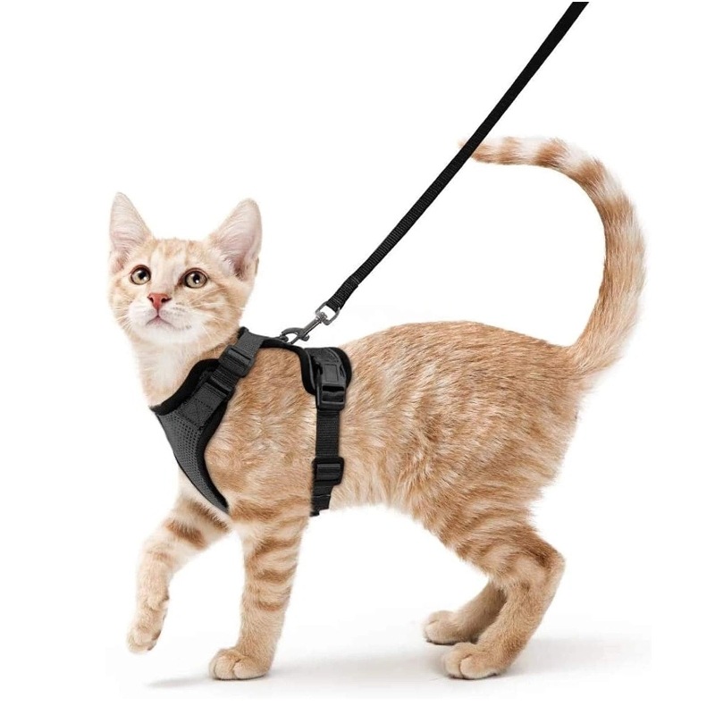 Amazon evcil hayvan göğüs kayı - Pet Supplies Amazon incelemesi ve fiyatı