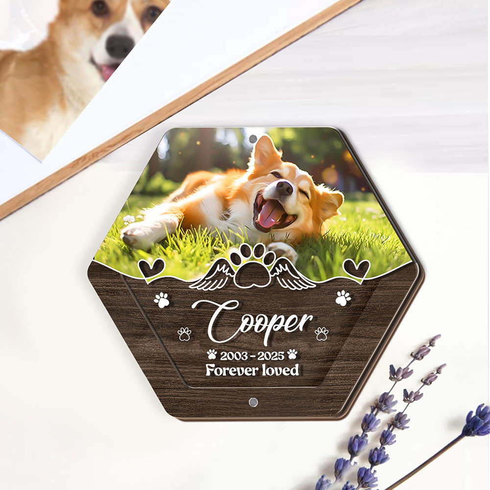 Kişiselleştirilmiş Adı Ahşap O - Pet Supplies Warehouse incelemesi ve fiyatı
