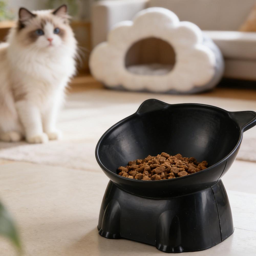 Siyah Kedi Kasesi Amazon Seram - Pet Supplies Amazon incelemesi ve fiyatı