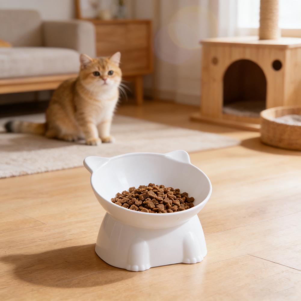Siyah Kedi Kasesi Amazon Seram - Pet Supplies Amazon incelemesi ve fiyatı