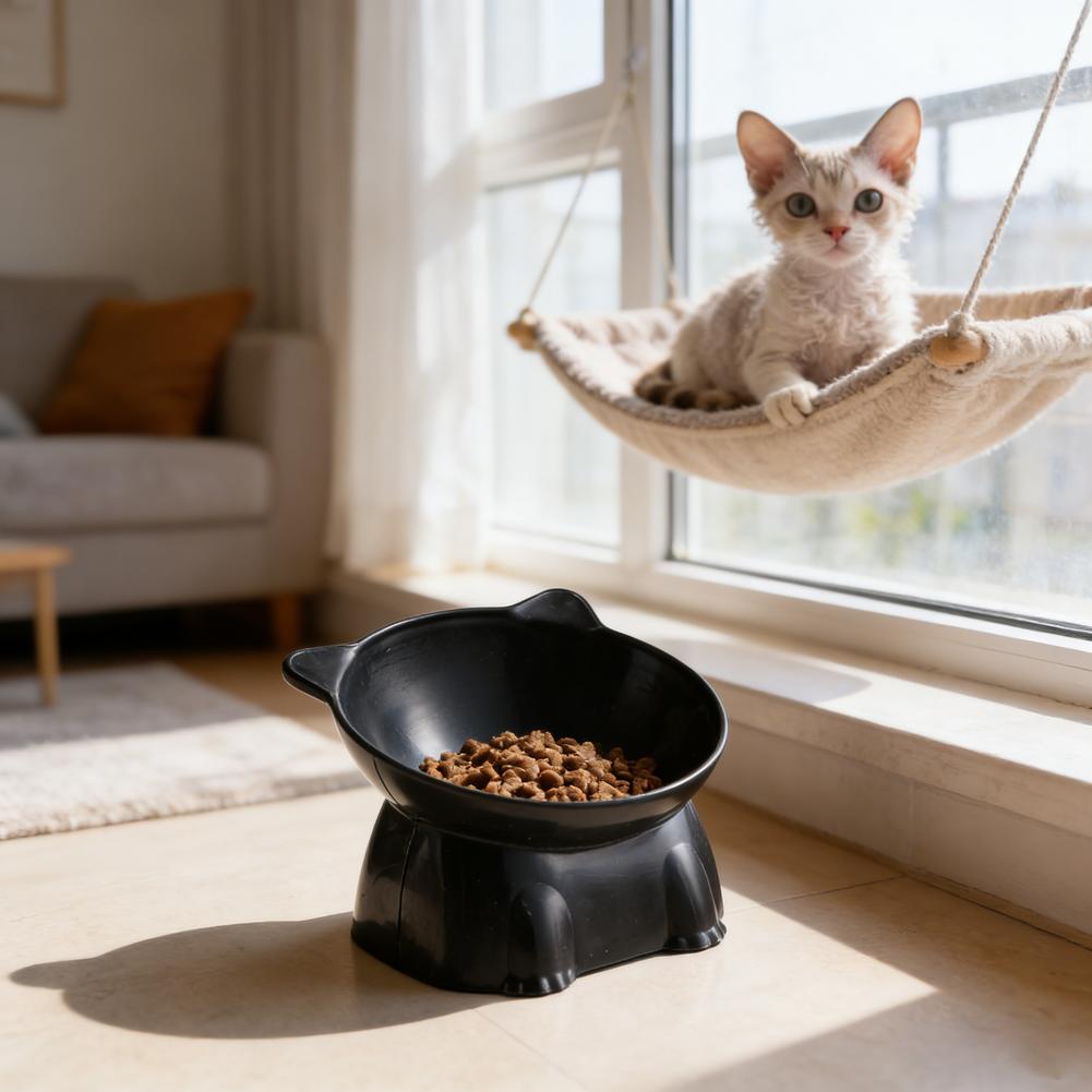 Siyah Kedi Kasesi Amazon Seram - Pet Supplies Amazon incelemesi ve fiyatı