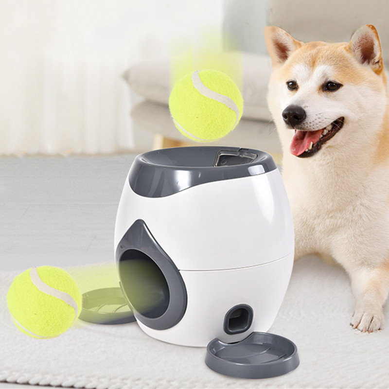 2'si 1 Arada Köpek Evcil Hayva - Pet Supplies Rewards incelemesi ve fiyatı