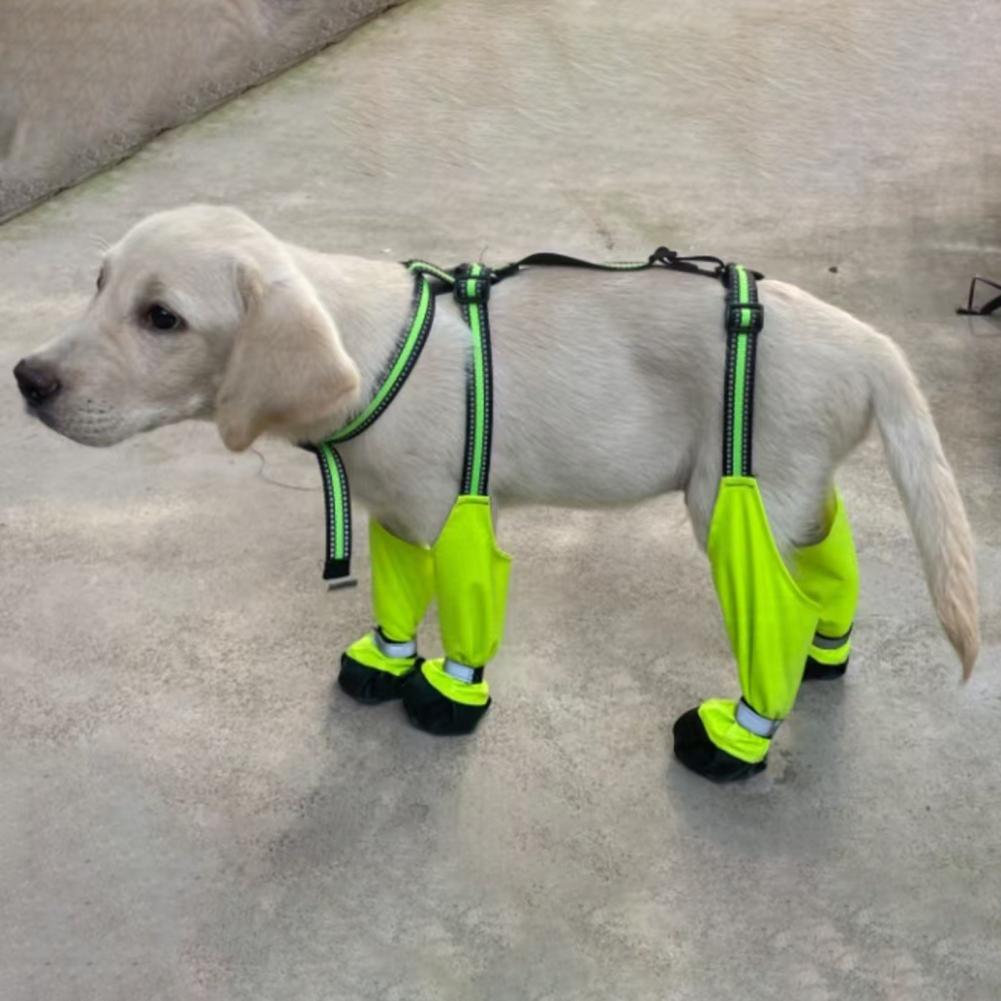 Köpek Askılı Botları Kaymaz Kö - Dog Booties Paw Protector incelemesi ve fiyatı
