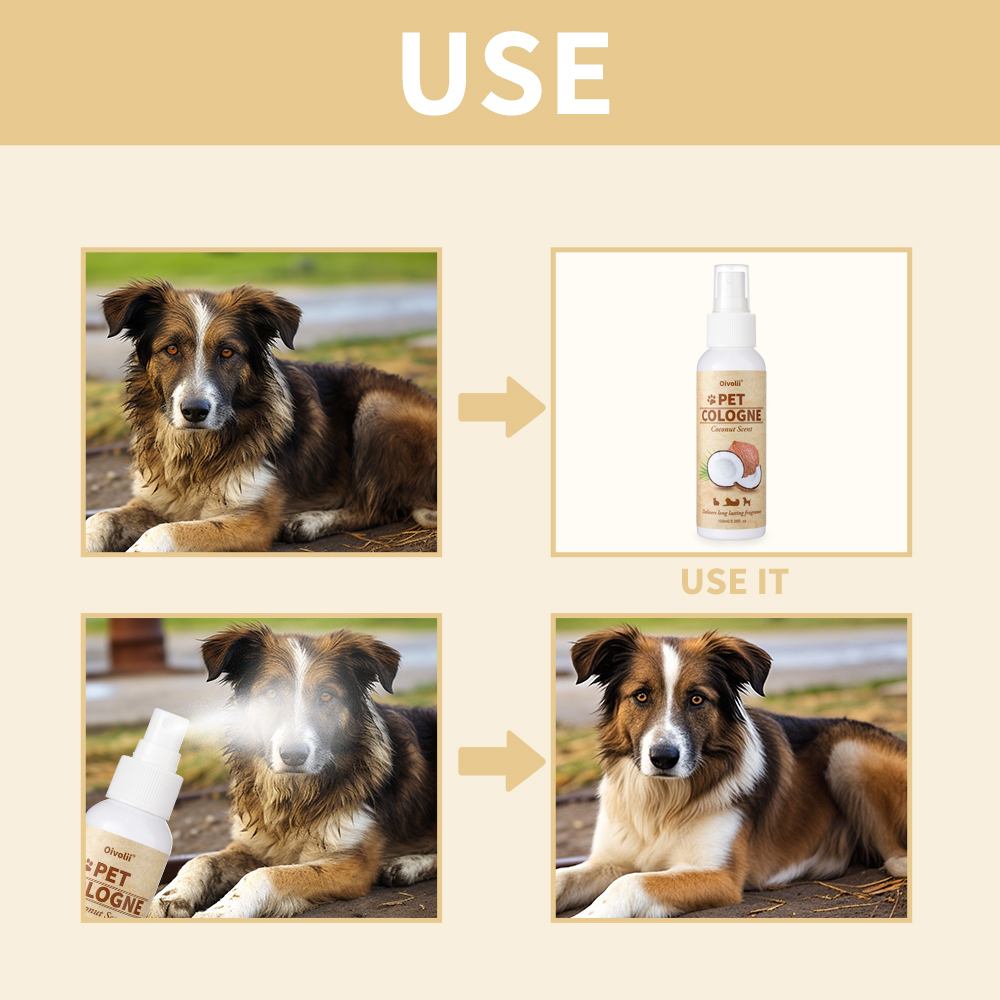 Köpekler için Hindistan Cevizi - Pet Cologne Spray incelemesi ve fiyatı