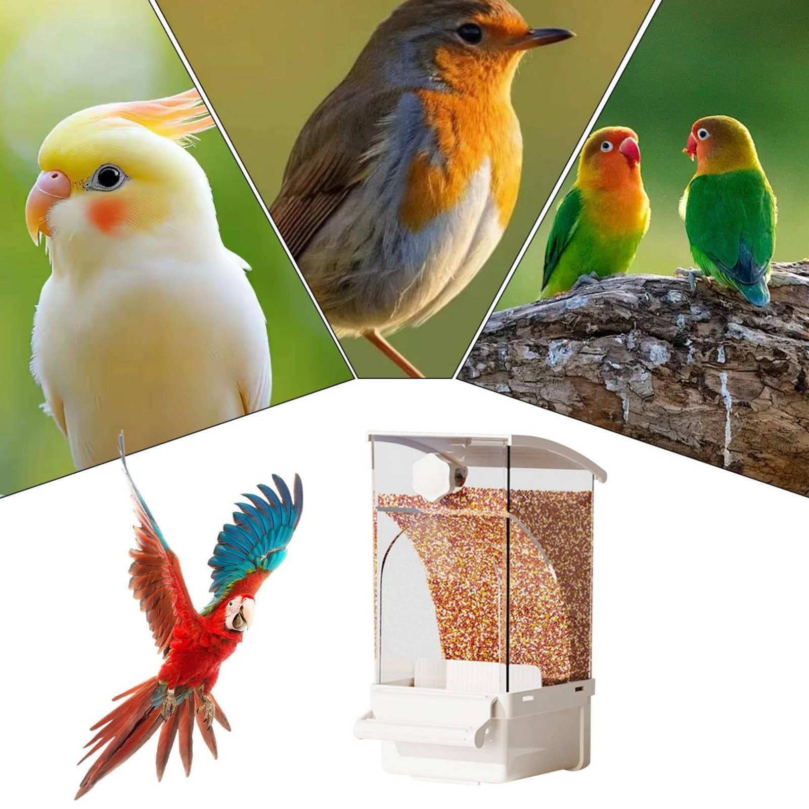Otomatik Kuş Yemliği Kabuk Ayı - Pet Supplies Us incelemesi ve fiyatı