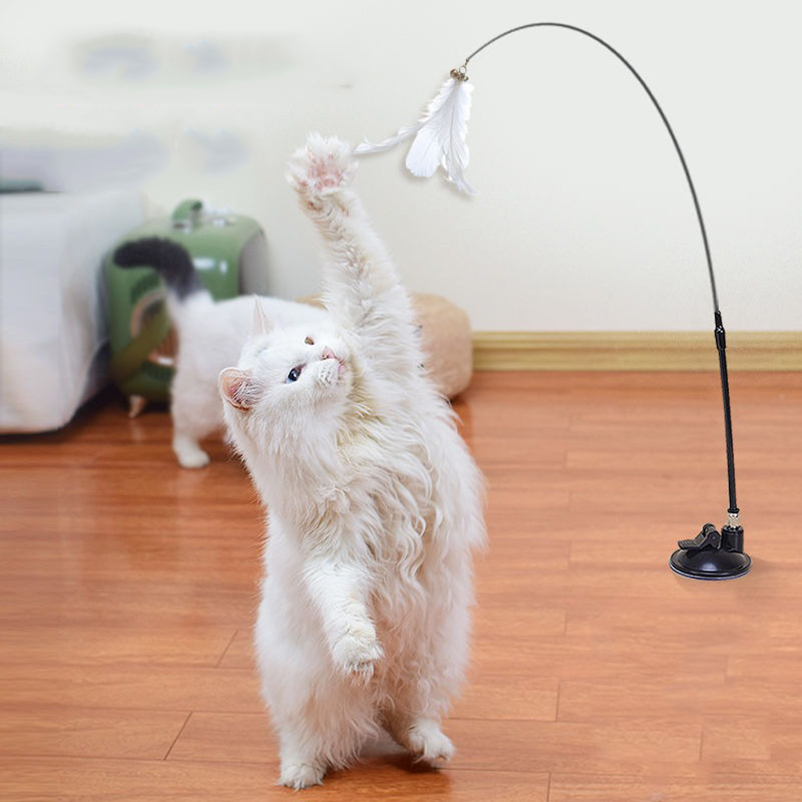 Yeni güçlü emişli, zilli kedi  - Pet Supplies Amazon incelemesi ve fiyatı