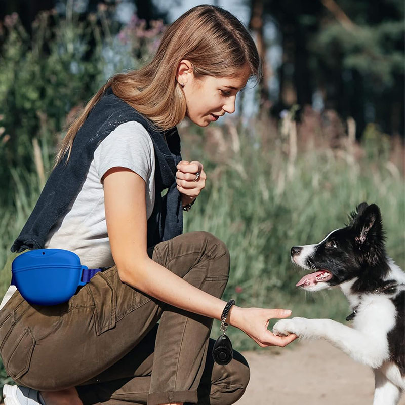 Silikon köpek bakımı torba taş - Pet Supplies Rewards incelemesi ve fiyatı
