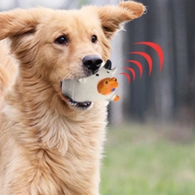 Amazon'un En Çok Satanları Evc - Pet Supplies Amazon incelemesi ve fiyatı