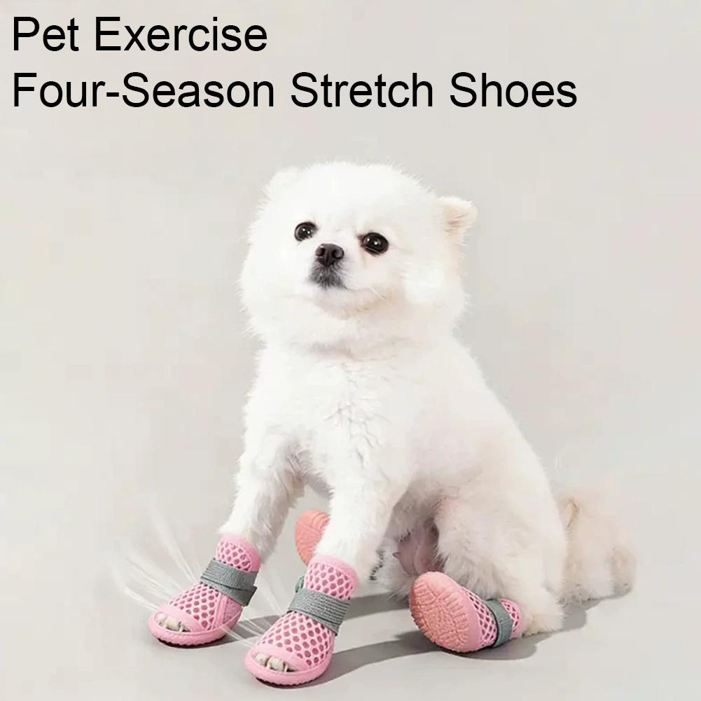Yazlık Nefes Alabilen Köpek Ay - Dog Booties Paw Protector incelemesi ve fiyatı