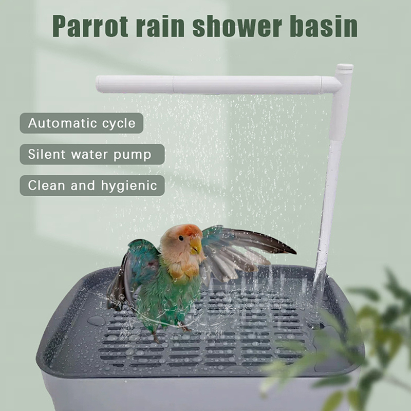 Yeni Satış 2026 Otomatik Papağ - Pet Supplies Us incelemesi ve fiyatı
